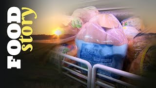 3900 litres d'eau pour produire un poulet !