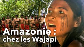 Amazonie : chez les Wajapi