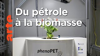 Bioéconomie : la révolution verte