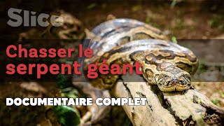 Documentaire Chasser le serpent géant
