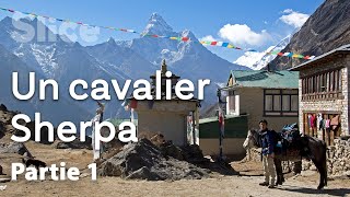 Himalaya : à la recherche du bon cheval