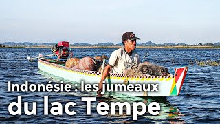 Indonésie : les jumeaux du lac Tempe