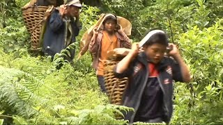 Documentaire Les enfants bûcherons des montagnes chinoises
