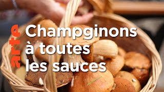 Les plats typiques de Grèce