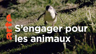 Documentaire Nouvelle-Zélande, les animaux du bout du monde