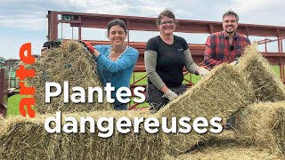 Documentaire Plantes toxiques : où se cache le danger ?