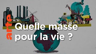 Quel est le poids du vivant ?