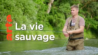 Documentaire Vivre en harmonie avec la nature