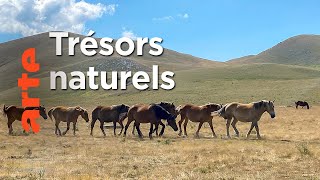 Documentaire Des Abruzzes à la Calabre | Paradis naturels italiens