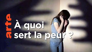 Documentaire Et si la peur n’existait pas ? | 42, la réponse à presque tout