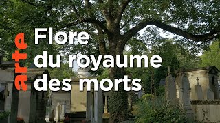 Éternel jardin : le cimetière du Père-Lachaise