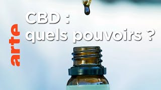 Documentaire Le CBD, une substance qui nous veut du bien ?