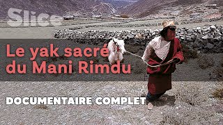 Le Yak Sacré du Mani-Rimdu