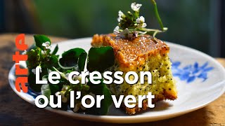 Documentaire Les plats typiques d’Essonne