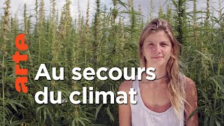 Les pouvoirs du chanvre