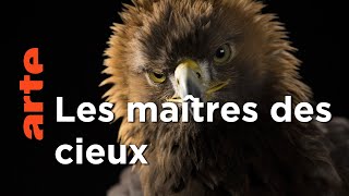 Les superpouvoirs des aigles