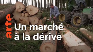 Pénurie de bois