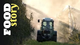 Documentaire Pommes, pesticides et santé, les vérités qui dérangent