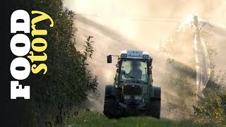 Pommes, pesticides et santé, les vérités qui dérangent