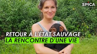 Documentaire Retour à l’état sauvage : la rencontre d’une vie