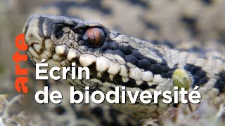 Bretagne | Les parcs naturels... en Minuscule