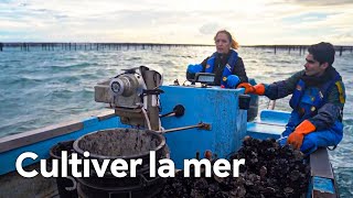Documentaire Fermiers de la mer, de mère en fils
