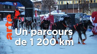 Documentaire Huskies, top départ !