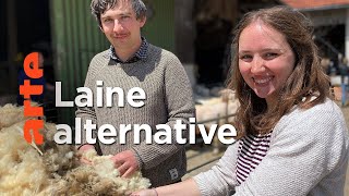 La laine, recyclage et revalorisation
