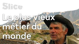 La rude vie d’un berger des montagnes de Géorgie