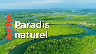 Documentaire L’archipel sauvage des Bijagos | Merveilles de la nature