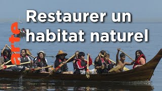 Documentaire Le fleuve Elwha : quand la nature reprend ses droits