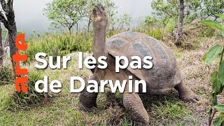 Documentaire Le monde perdu des Galapagos | Merveilles de la nature