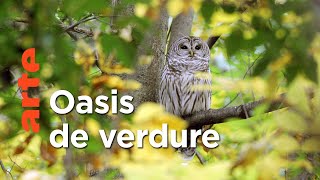 Le retour de la nature | Archipel New York