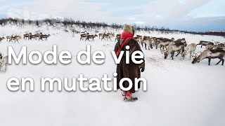 Les Sami : Éleveurs légendaires du grand nord
