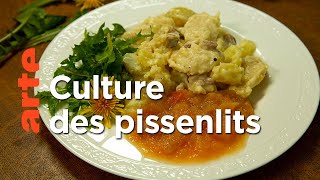 Les plats typiques d'Allemagne