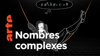 Documentaire Pique-nique sur le plan complexe | Voyages au pays des maths