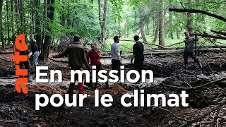 Documentaire Sauver les tourbières de l’île de Rügen