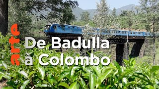 Documentaire Sri Lanka, avec Rodrigo à bord du train bleu