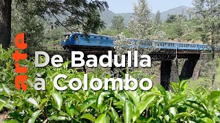 Sri Lanka, avec Rodrigo à bord du train bleu