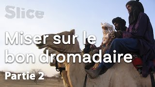 Documentaire Tiercé du désert : dernières préparations avant la course