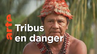 Documentaire Amazonie, le barrage de trop