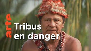 Amazonie, le barrage de trop