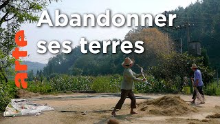 Chine, la dernière récolte