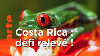 Costa Rica - Le réveil de la nature