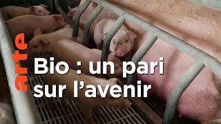 Documentaire Élevage porcin, la conversion en bio