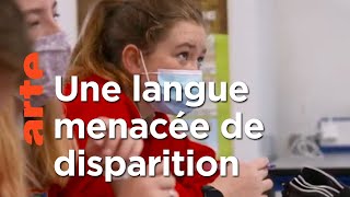 Documentaire Gaélique pour débutants