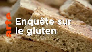 Gluten, l'ennemi public ?