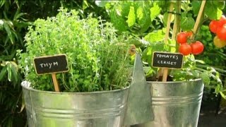 Documentaire Jardins : un marché florissant