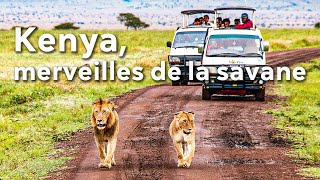 Documentaire Kenya : le plus grand safari