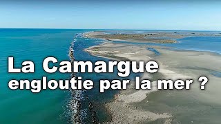 Documentaire La Camargue, entre terre et mer